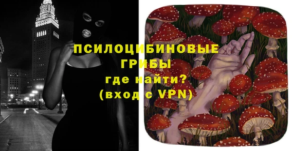 тгк Алзамай